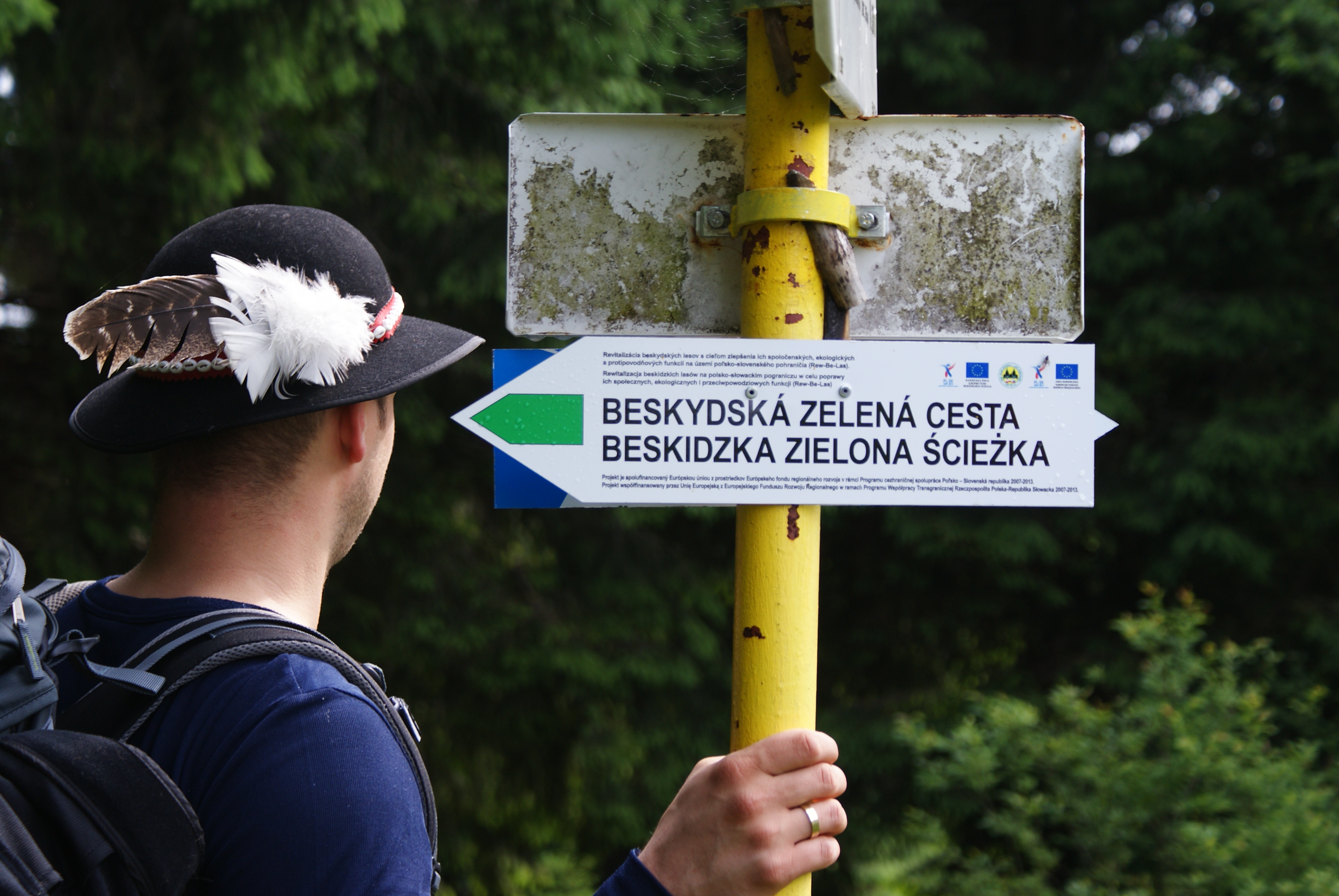 Zdjęcie projektu 