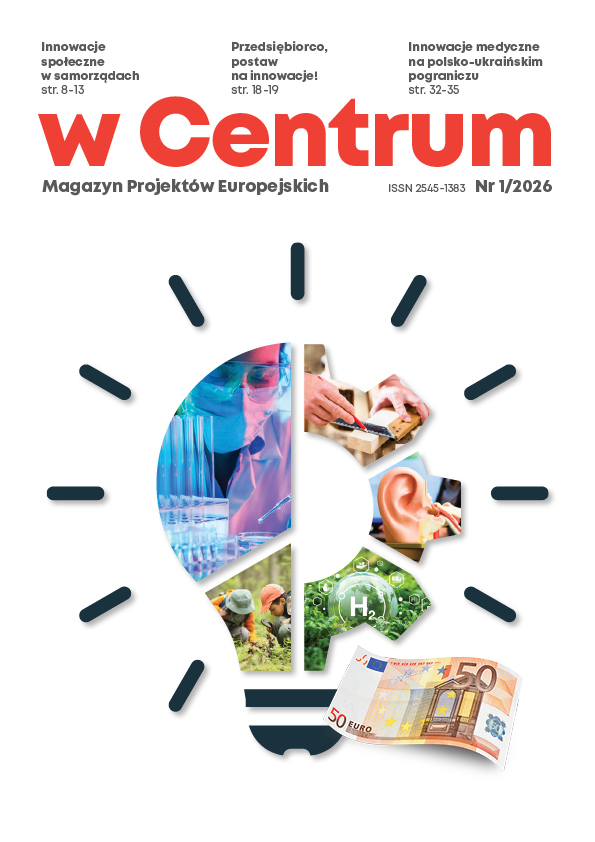 Kolorowa grafika przedstawia żarówkę zbudowaną z puzzli. Na każdym puzzlu jest fragment zdjęcia, które nawiązuje do tematyki artykułów kwartalnika. Obok jest banknot o nominale 50 euro.1