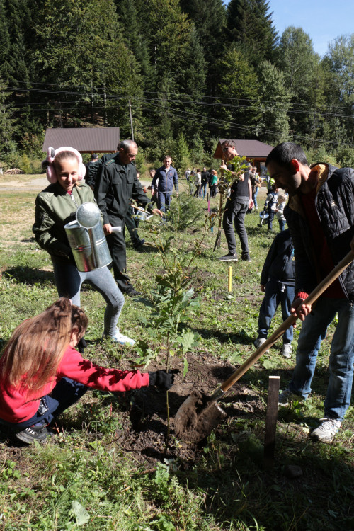 tree-planting-6.jpg