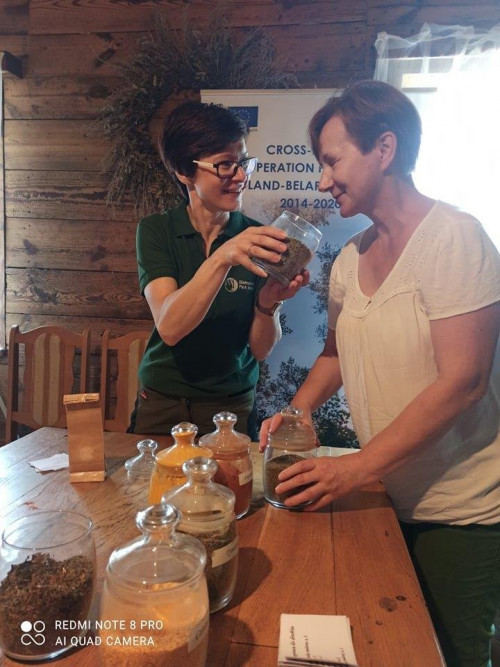 Warsztaty dla nauczycieli